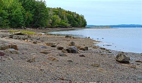 Rocks on the Beach of Sears Island in Maine Stock Image - Image of ...