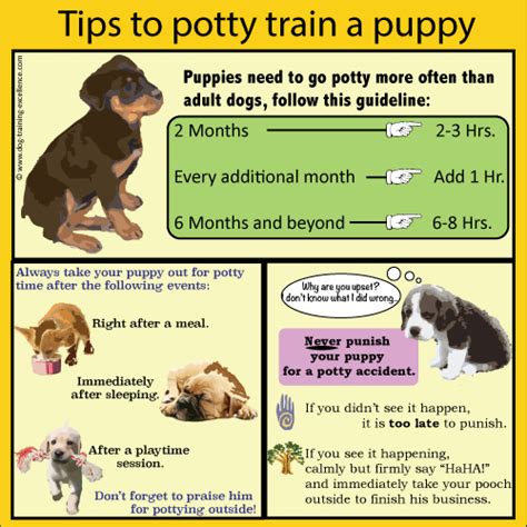 how to best potty train your puppy - potty training a difficult dog