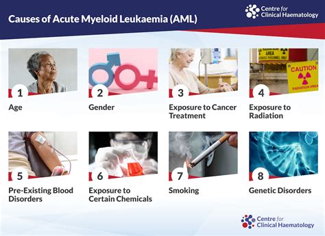 Acute Myeloid Leukaemia (AML): Signs & Treatments