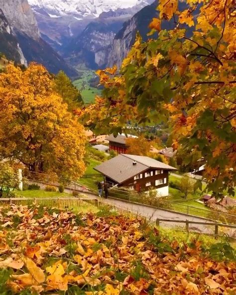 Another day at Fall Season in Switzerland through the eyes of us [Video ...