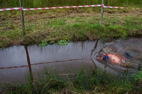 'First Lady of Irish Bog Snorkeling' Is a Queen of Weird Sports | WIRED