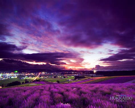 🔥 [100+] Purple Scenery Wallpapers | WallpaperSafari