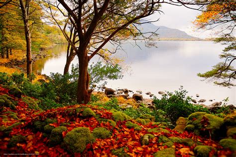 Autumn Lake Desktop Wallpaper - WallpaperSafari