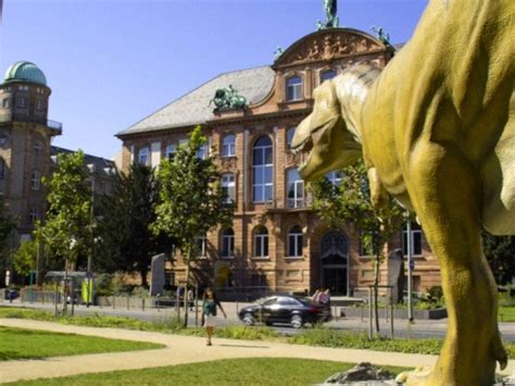 The Senckenberg Museum of Natural History - Frankfurt: Get the Detail ...