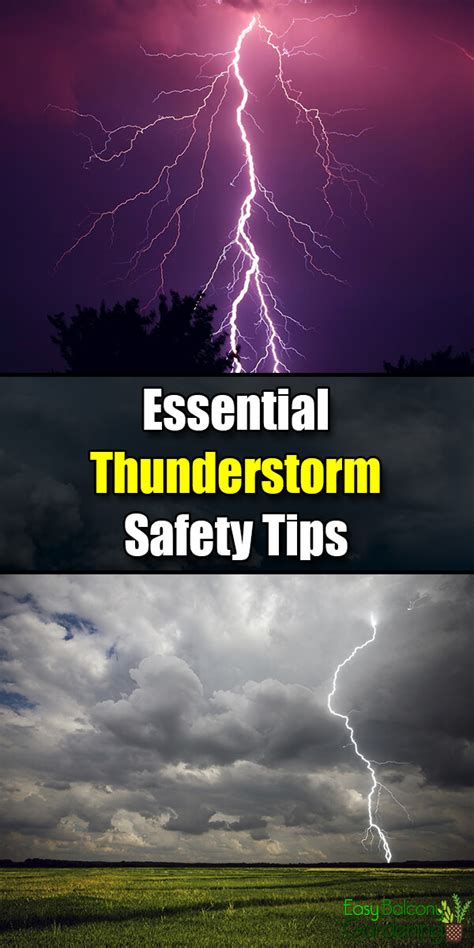 Essential Thunderstorm Safety Tips - Easy Balcony Gardening