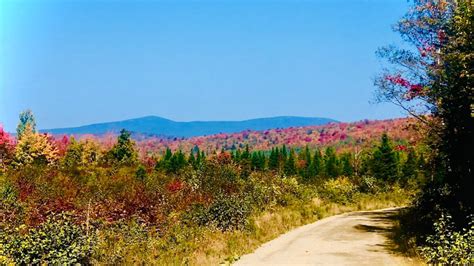 Maine's fall foliage dazzles as peak colors spread across state