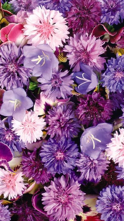 [100+] Aesthetic Purple Flower Backgrounds | Wallpapers.com