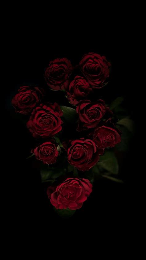 234 Wallpaper Hd Black Rose Pictures - MyWeb