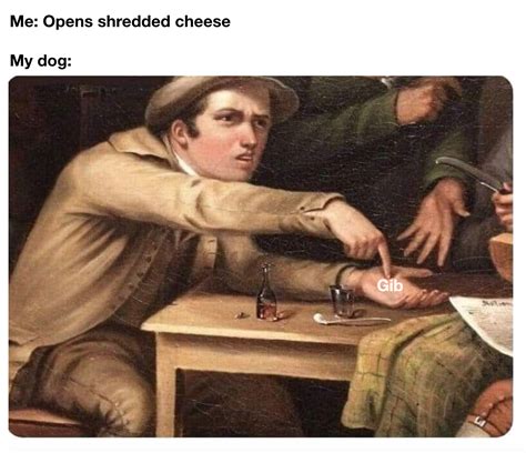 Gib shredded cheese : r/memes