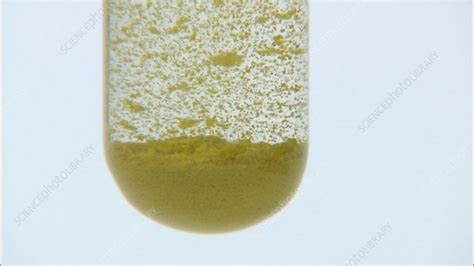 Lead II iodide precipitate - Stock Video Clip - K001/3601 - Science ...