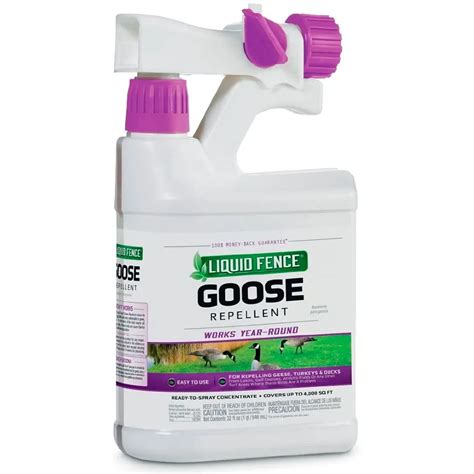 Best 5 Canadian Goose Deterrents and Repellents (*2021 UPDATED*)