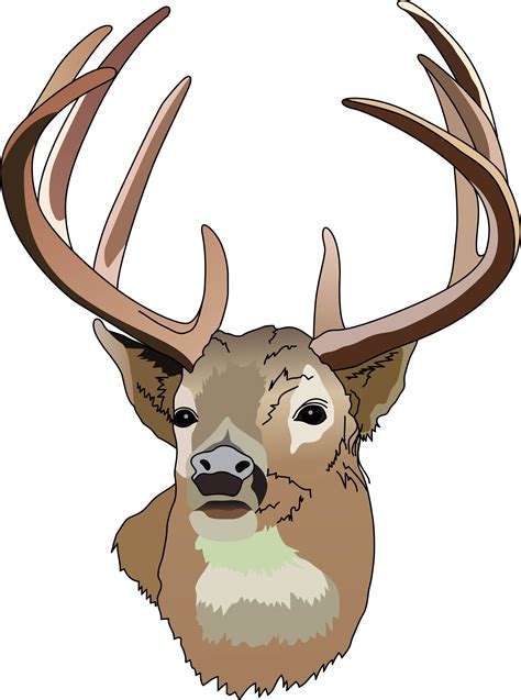 Buck Head - ClipArt Best