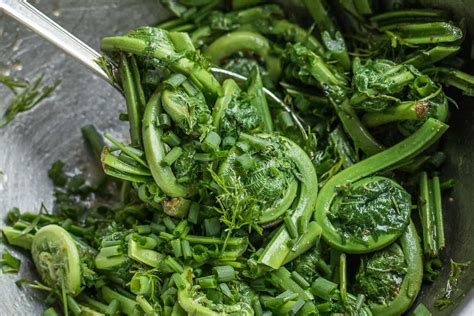 Fiddlehead salad recipe with olive oil lemon and herbs