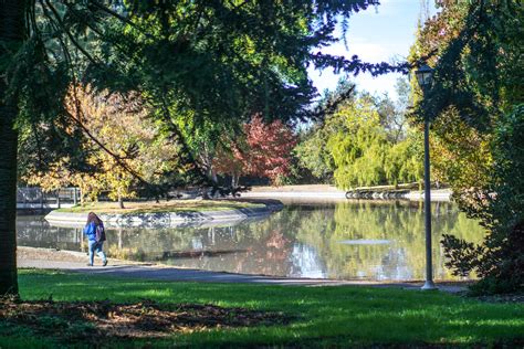 Photography | Strategic Communications at Sonoma State University