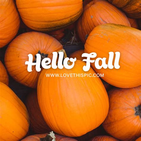 Pile Of Pumpkins - Hello Fall Pictures, Photos, and Images for Facebook ...