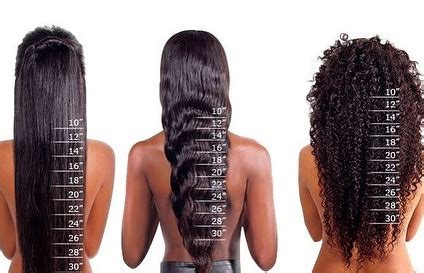 34+ What Does 5 Inches Of Hair Look Like - EastonArhum