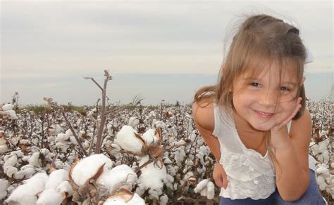 Mommy 2 Twincesses: Southern Family Traditions-Pictures in the Cotton