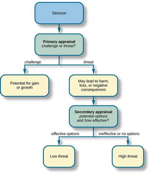 Theories of Emotion | Boundless Psychology