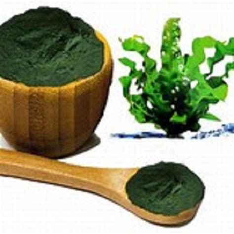 10 Health Benefits of Spirulina Capsules