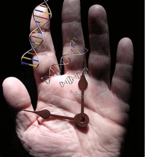 Each of us has a genetically-programmed aging clock - Genetic Literacy ...