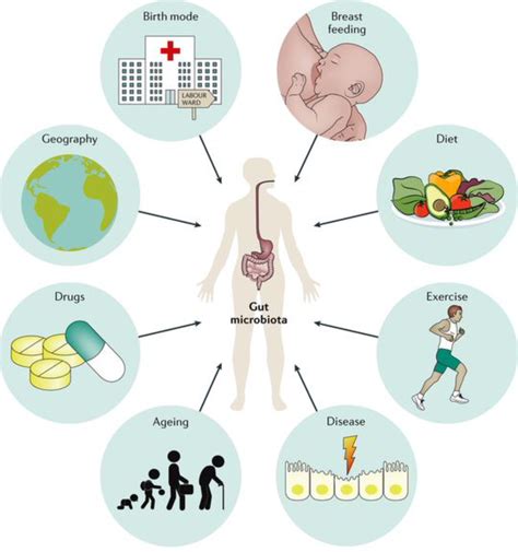 How Your Gut Microbiome Can Affect Your Health - HER'OLOGY