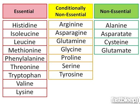 Which of the Following Is an Essential Amino Acid - OmargroFrost