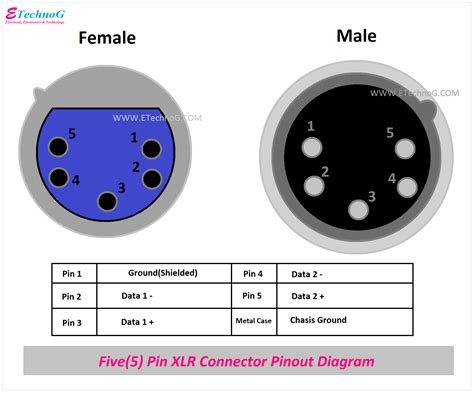 XLR Pinout, Wiring Diagram - Male and Female Connector - ETechnoG