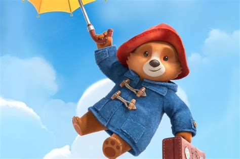 Can you wash Paddington Bear? - ABTC