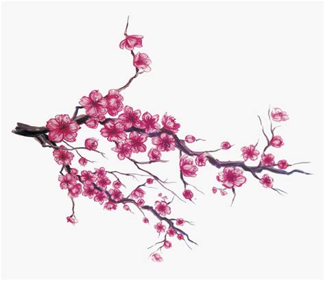 Drawings Of Japanese Cherry Blossoms