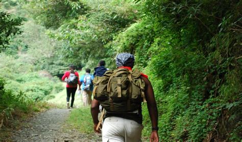 Hiking the Blue Mountain Peak in Jamaica