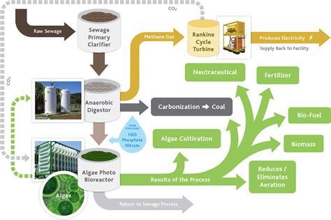 Algae Biofuel Future : Algae Biofuel Technology