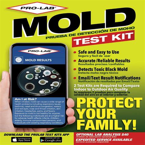 The top 23 Ideas About Diy Mold Test Kit - Home, Family, Style and Art ...