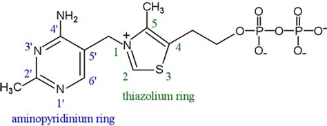 CHEM 440 - Thiamine pyrophosphate