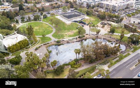 La Brea tar pits, Los Angeles, California Stock Photo - Alamy