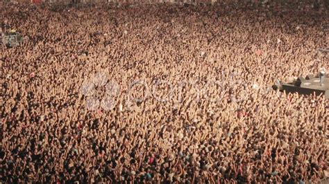 Cheering Concert Crowd