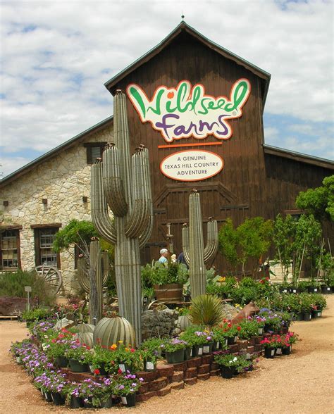 Wildseed Farms Nursery and Pottery | Texas native plants, Wildflower ...