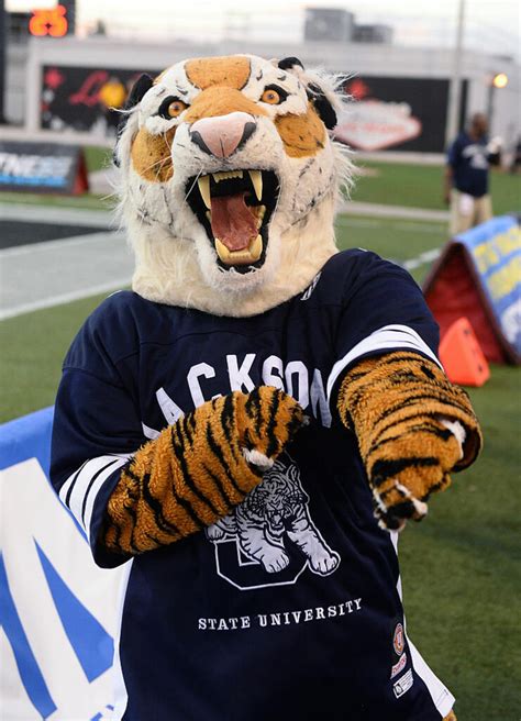 College Mascot Gets Unsportsmanlike Conduct Call Against It | iHeartRadio