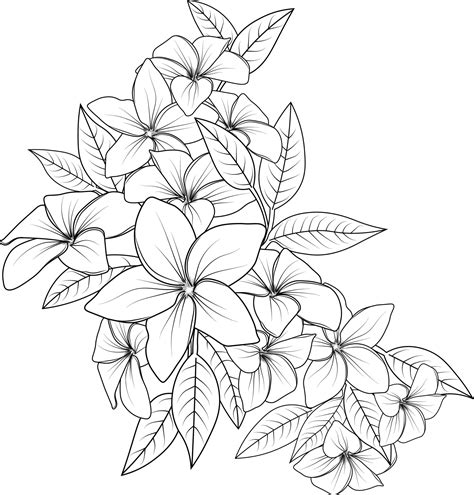 Plumeria Clip Art Black And White