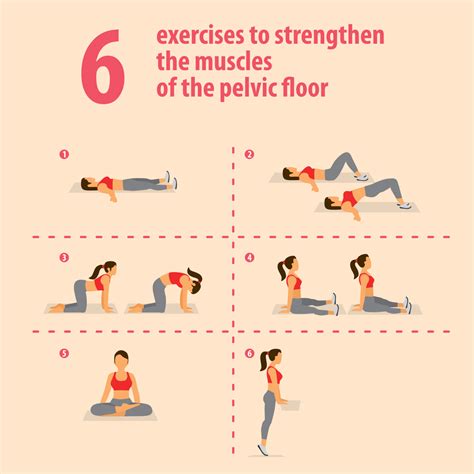 6 pelvic floor exercises for pelvic wellness - Original Babybellyband ...