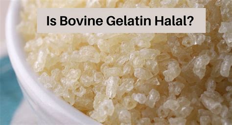 Is Bovine Gelatin Halal?