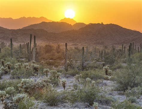 Sonoran Desert National Monument