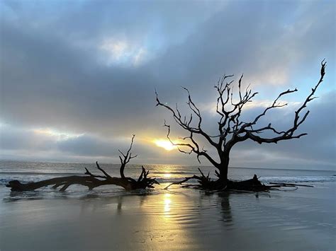 Sunrise at Driftwood Beach Photograph by Susan Wojciechowski - Pixels