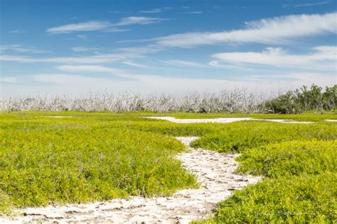 Hiking Florida – Flamingo, Everglades National Park | Nick Botner