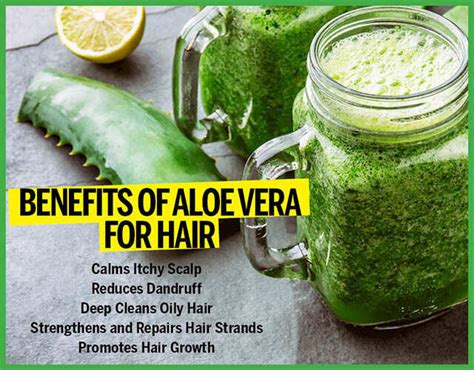 10 DIY Aloe Vera Hair Masks And It's Benefits For Hair | Femina.in