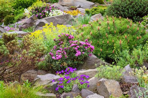 How to build a garden rockery – Builders Villa