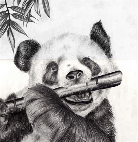 Panda by xCh3rryx on DeviantArt