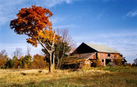 Old Barns and Autumn Color | One of the many vintage barns i… | Flickr