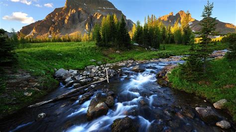 Beautiful River HD 1080p Wallpapers Download HD Wallpapers | Landscape ...