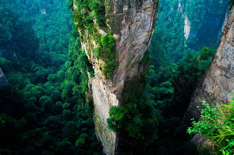 forest, China, Cliff, Mountain, Green, Summer, National Park, Nature ...