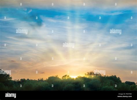 Sunset over forest silhouette Stock Photo - Alamy